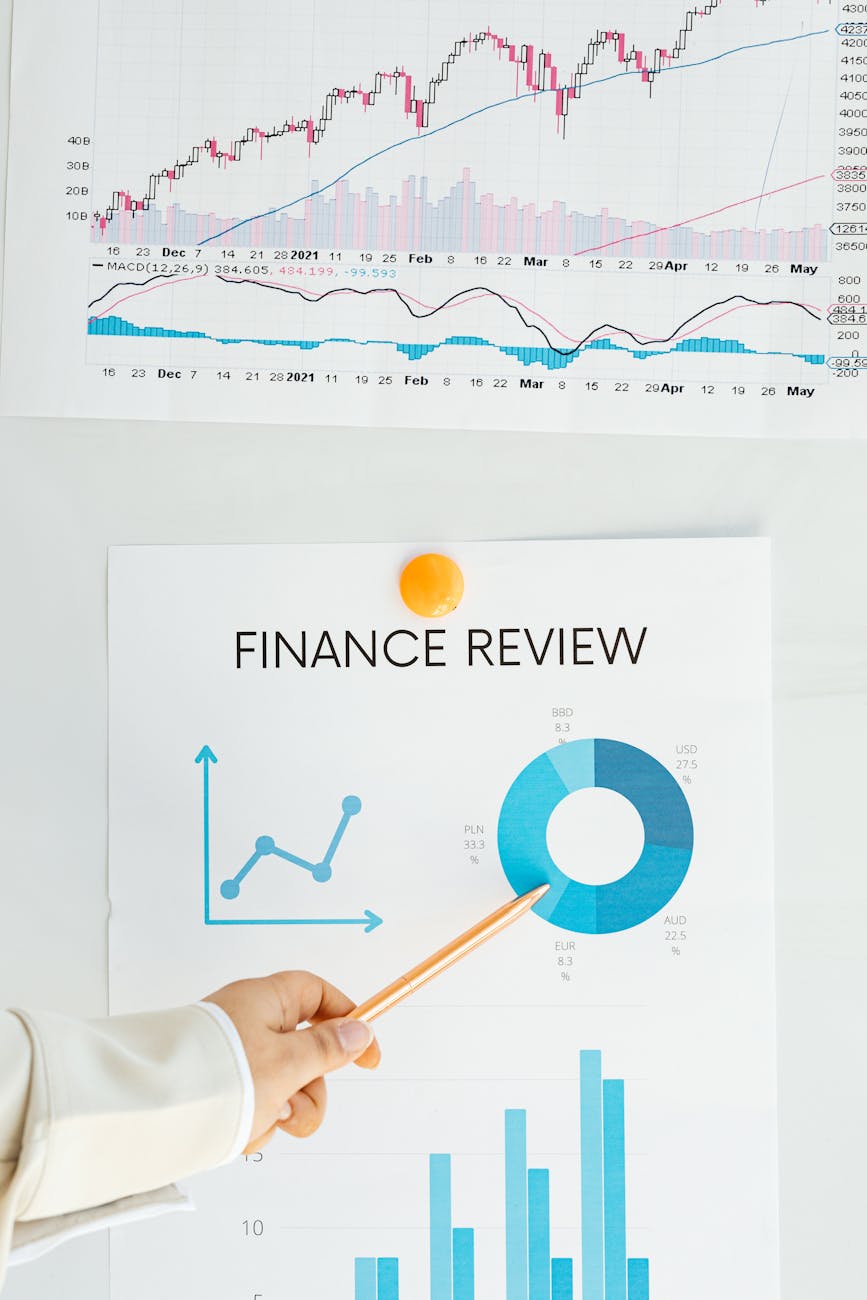 Financial growth chart showing portfolio performance increase over twelve months